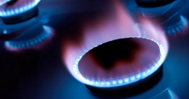 Conserto de fogão vila maria-sp